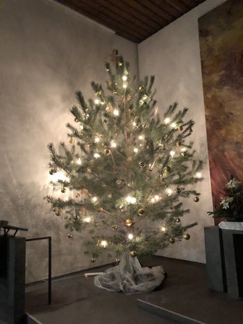 mc_baum.jpeg